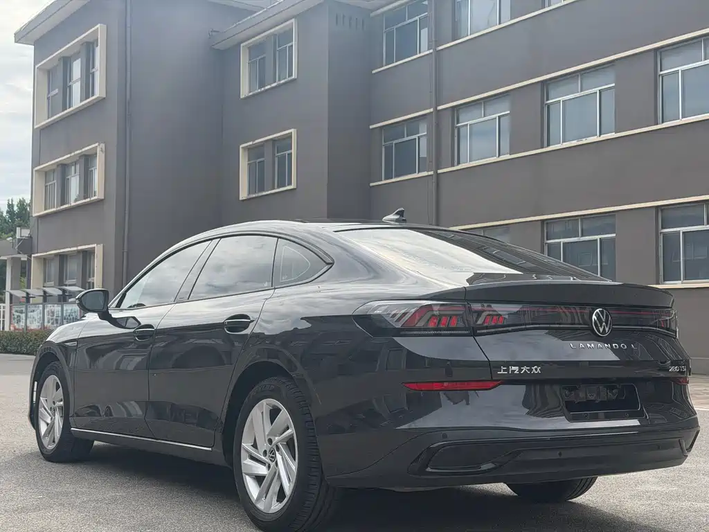 Volkswagen Lamando — миниатюра 4