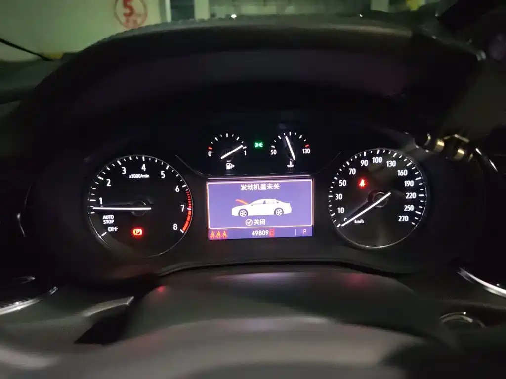 Buick Regal — миниатюра 12