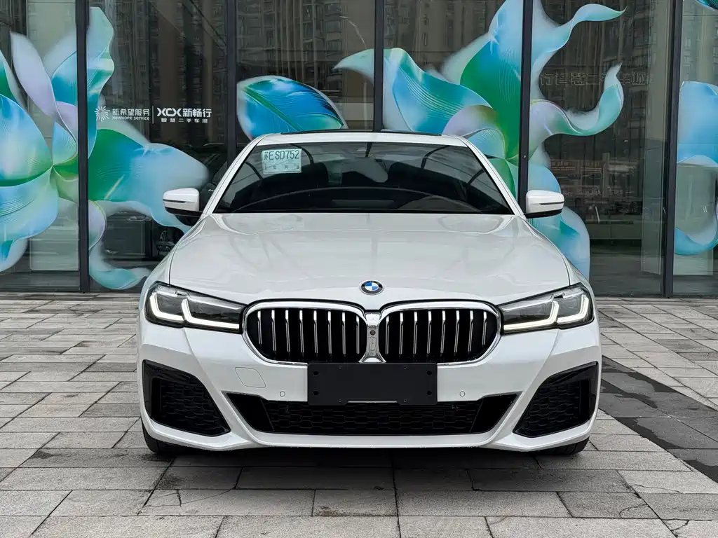 BMW 5 Series — миниатюра 2