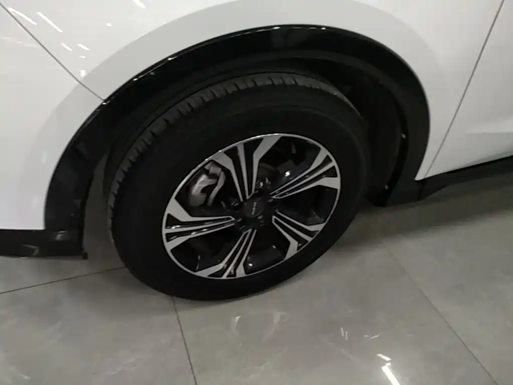Soueast DX8S 1.5T DCT Chief Edition 5 Seats, фото 23