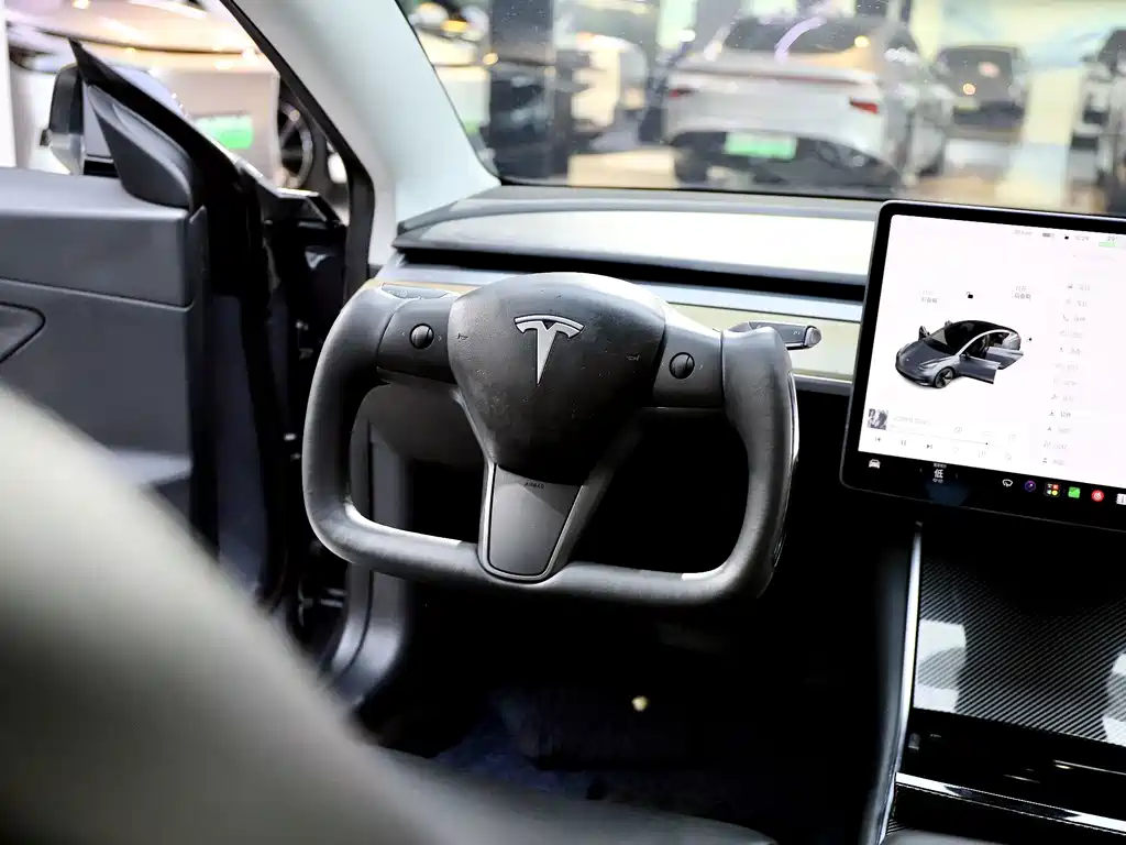 Tesla Model 3 — миниатюра 9