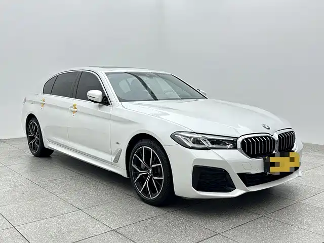 BMW 5 Series — миниатюра 3