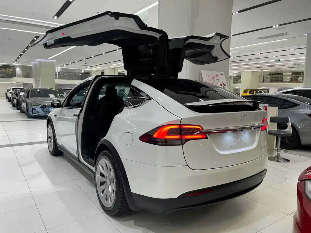 Tesla Model X — миниатюра 4