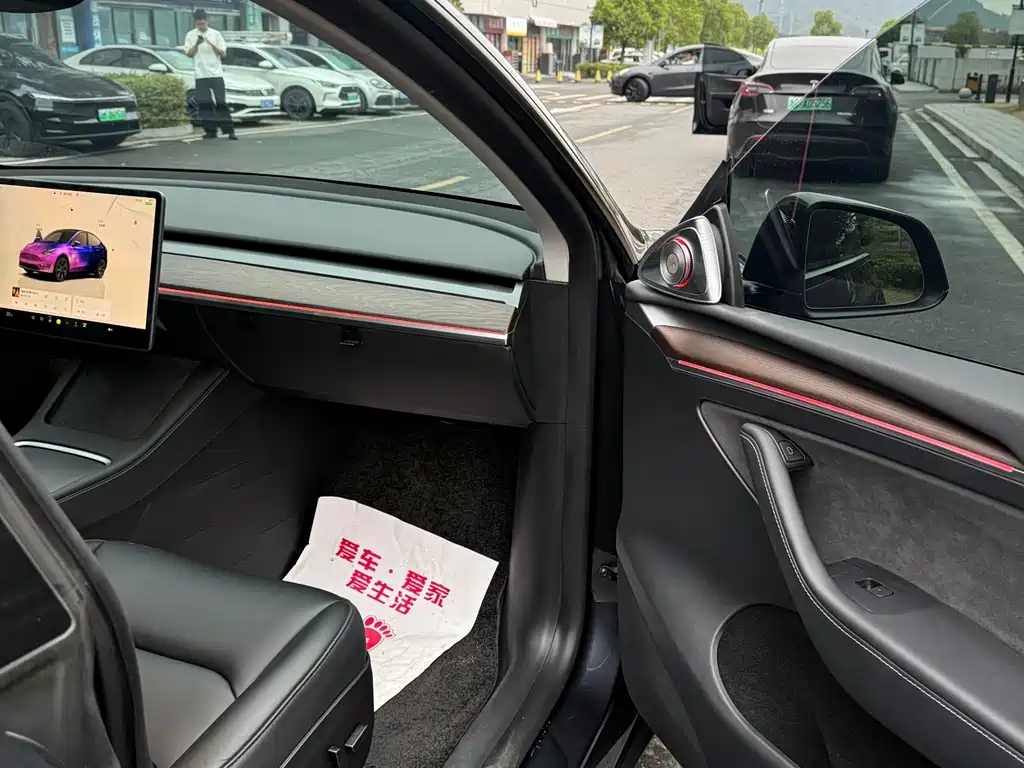 Tesla Model Y — миниатюра 16