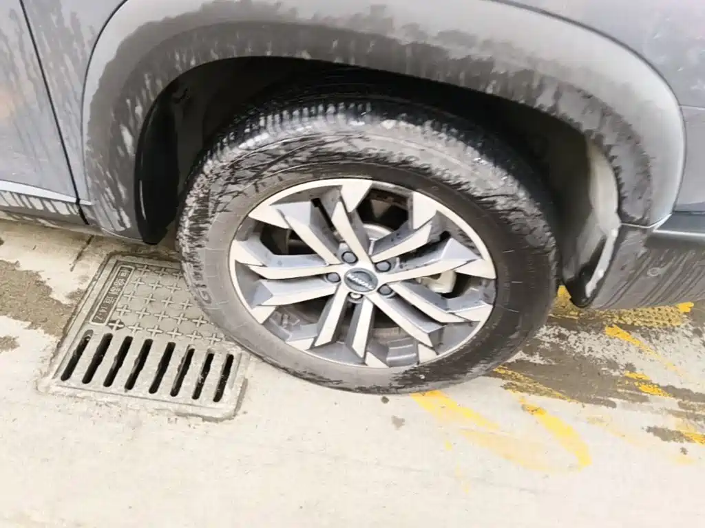 Haval 长城大狗 — миниатюра 12