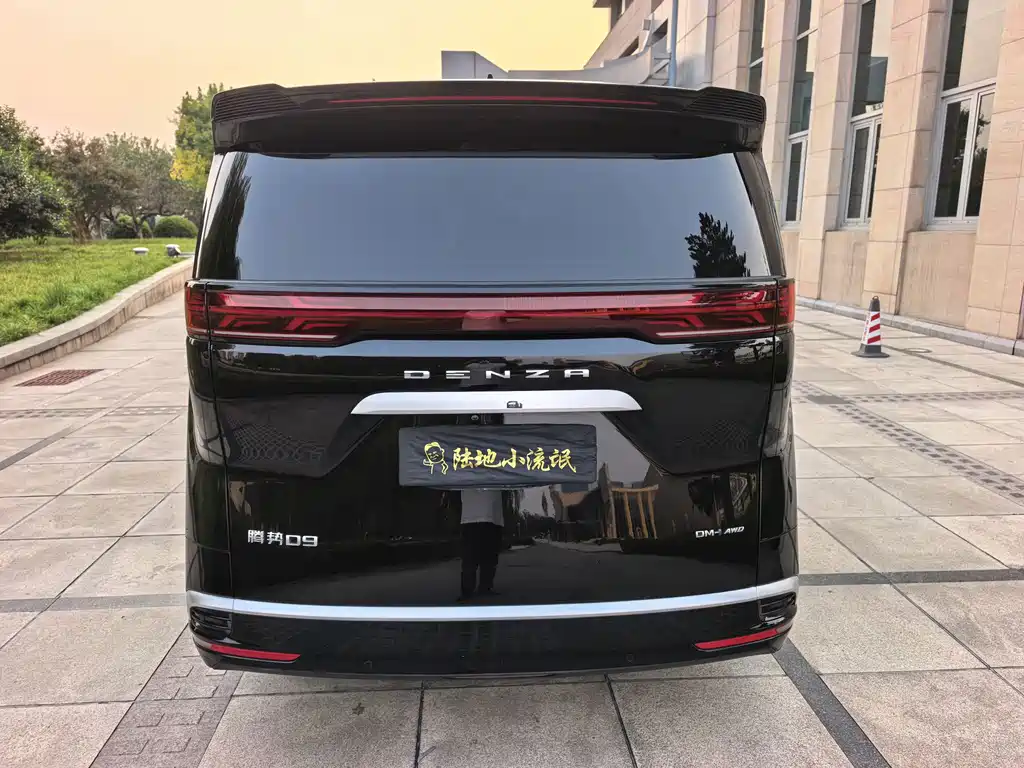 Denza Denza D9 — миниатюра 5
