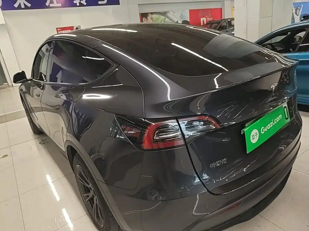 Tesla Model Y — миниатюра 5