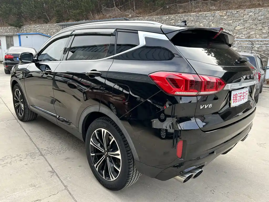 WEI PAI WEI BRAND VV6