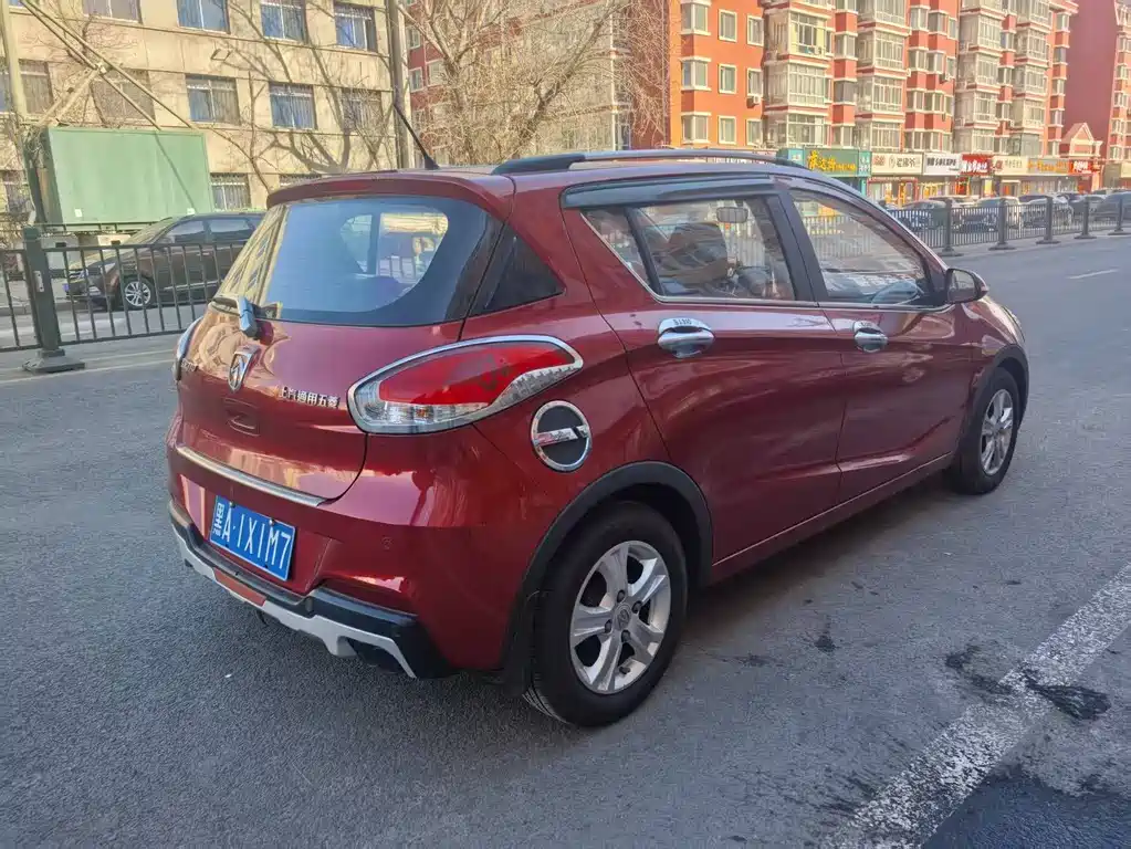 BAOJUN 310