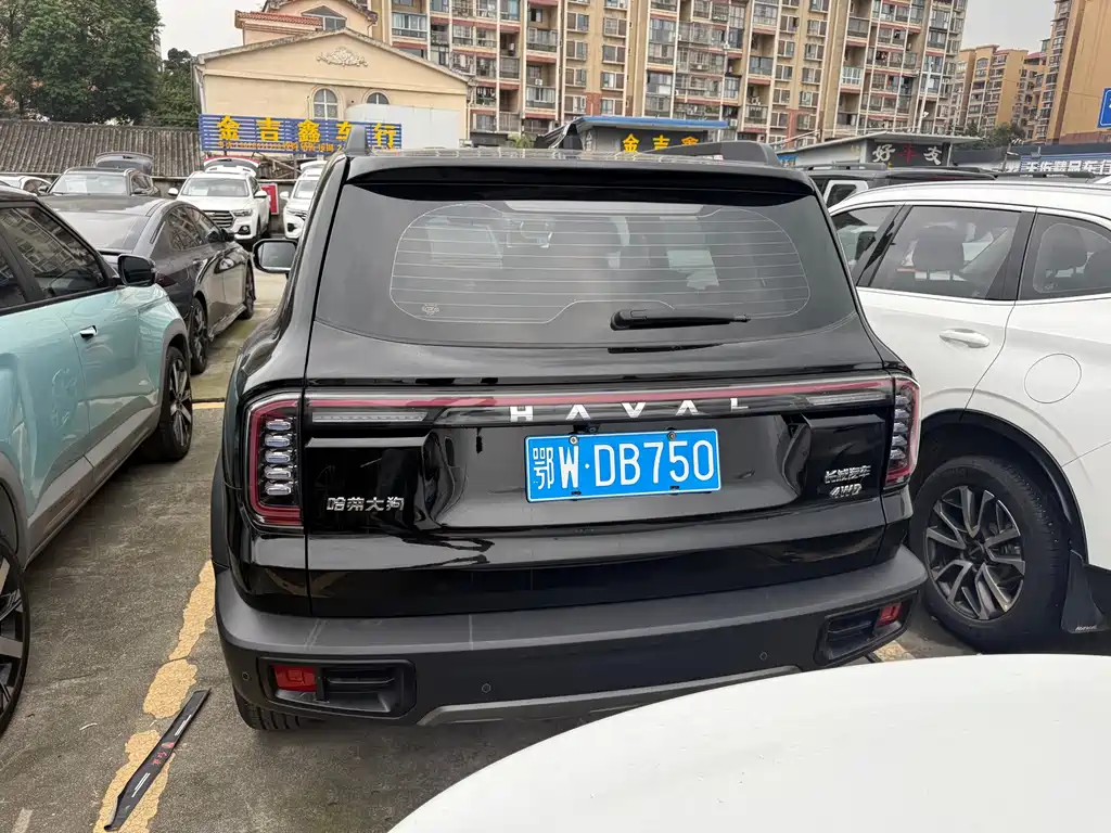 Haval Big Dog — миниатюра 16