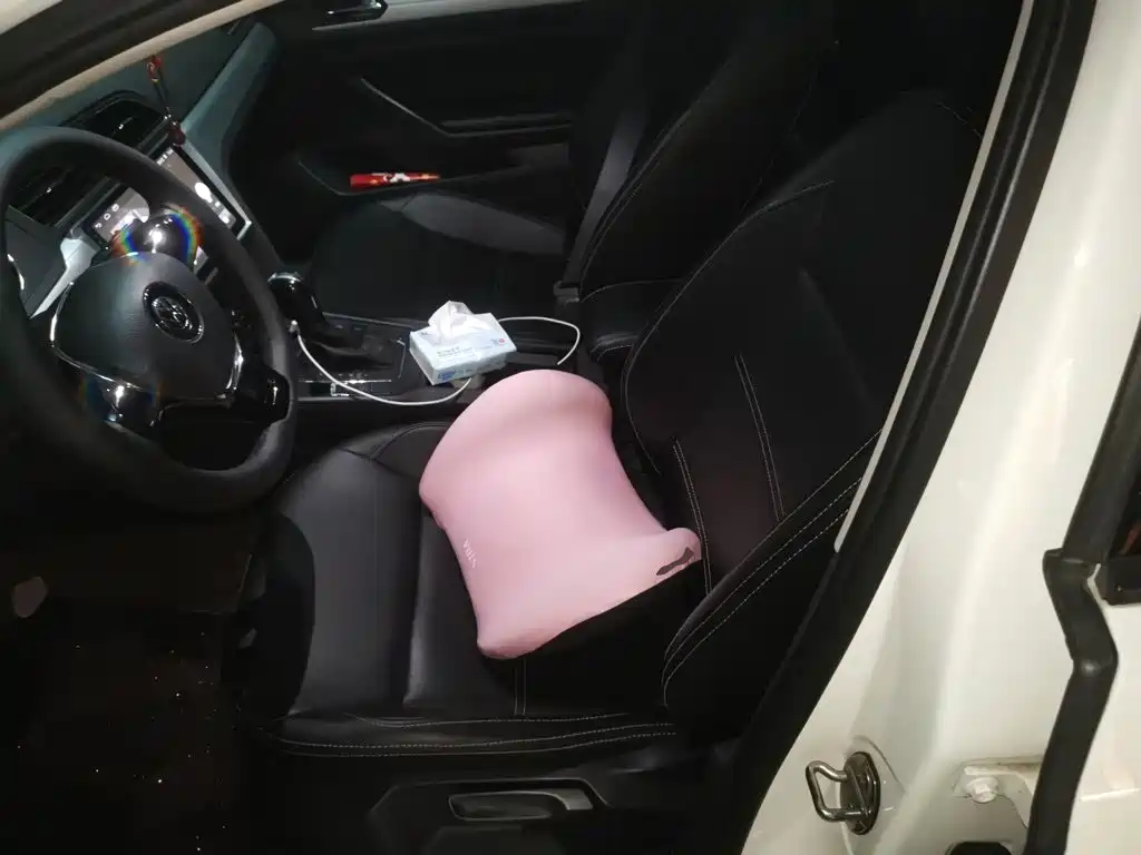 Volkswagen Lamando — миниатюра 8