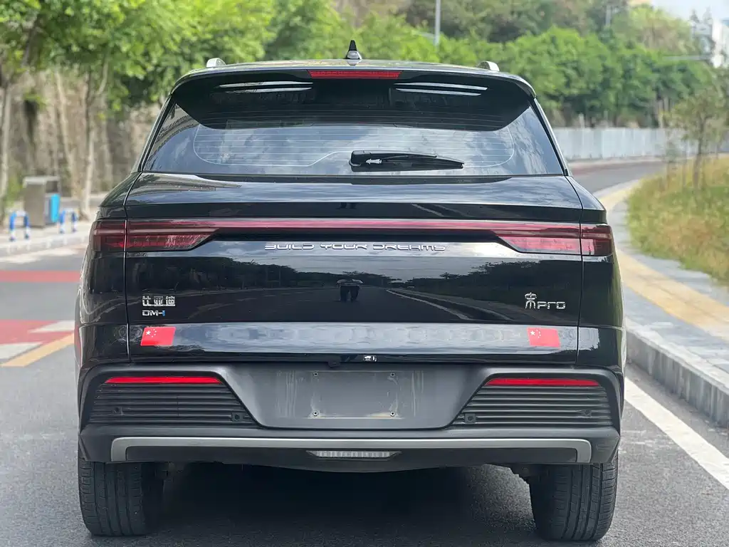 BYD Pro New Energy - фото 16