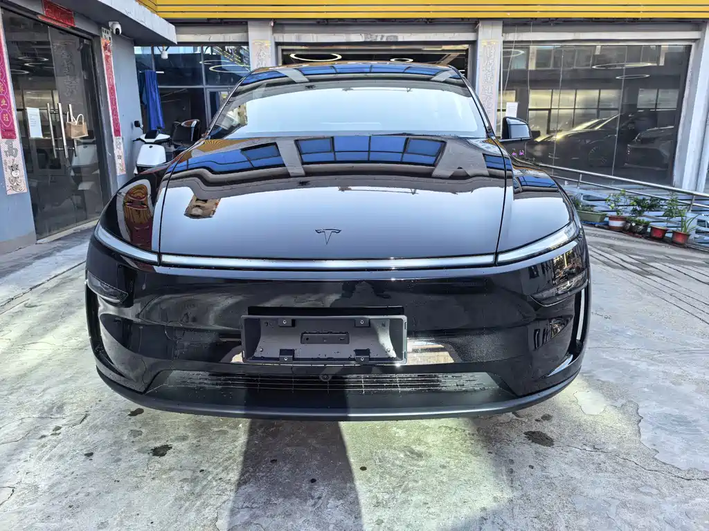 Tesla Model Y — миниатюра 2