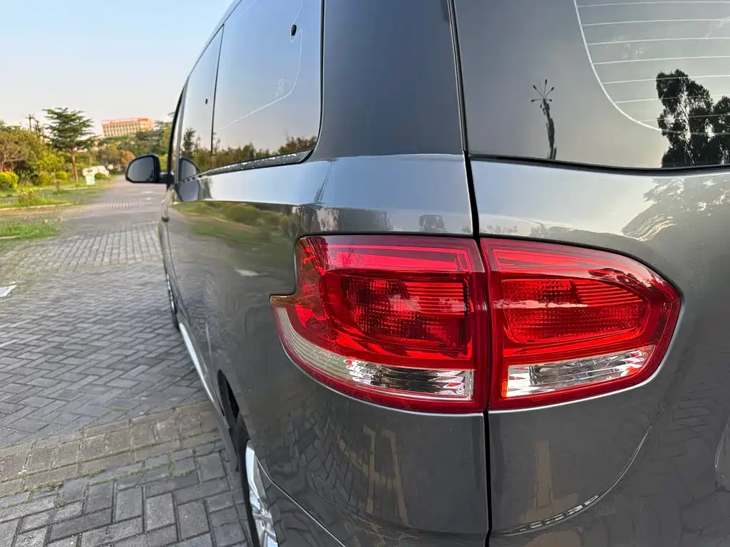 Maxus G10 PLUS 2.0T Auto Elite Edition China VI, фото 9
