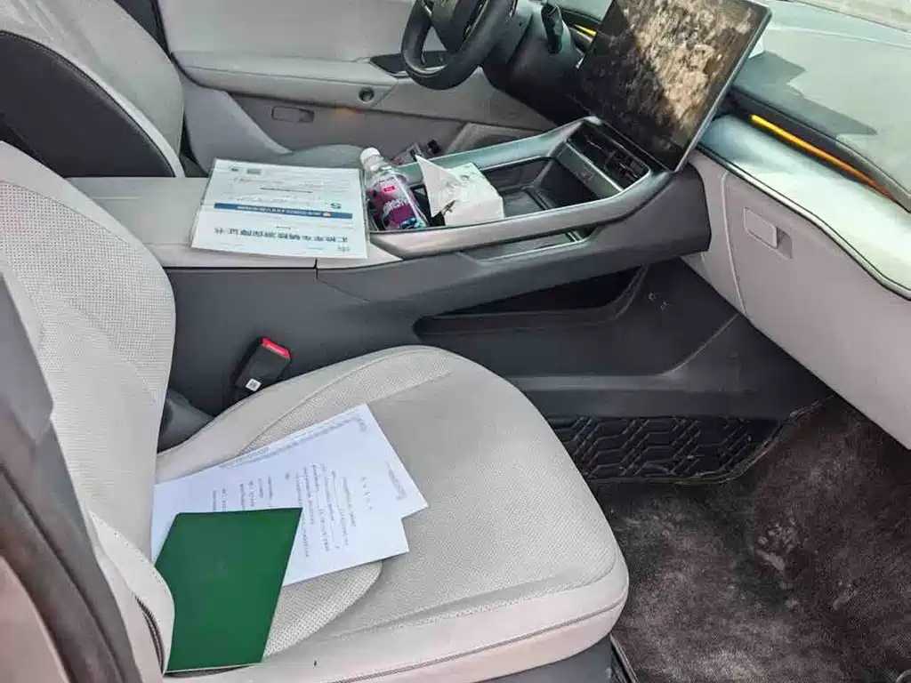 ARCFOX EXTREME FOX POLAR FOX ALPHA S5