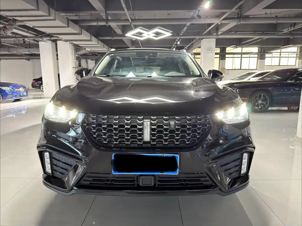 WEI PAI WEI BRAND VV5