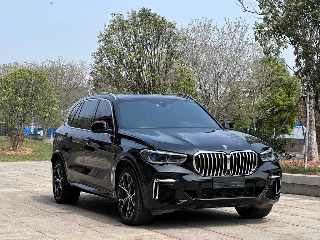 BMW X5 — миниатюра 3