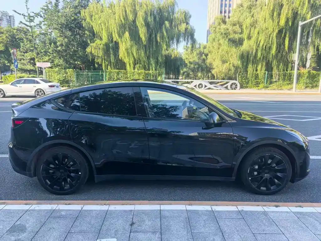 Tesla Model Y — миниатюра 7