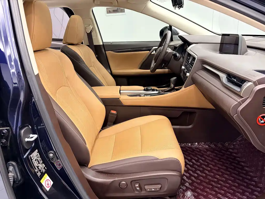 Lexus RX 300 4WD Elegant Edition China VI, фото 15