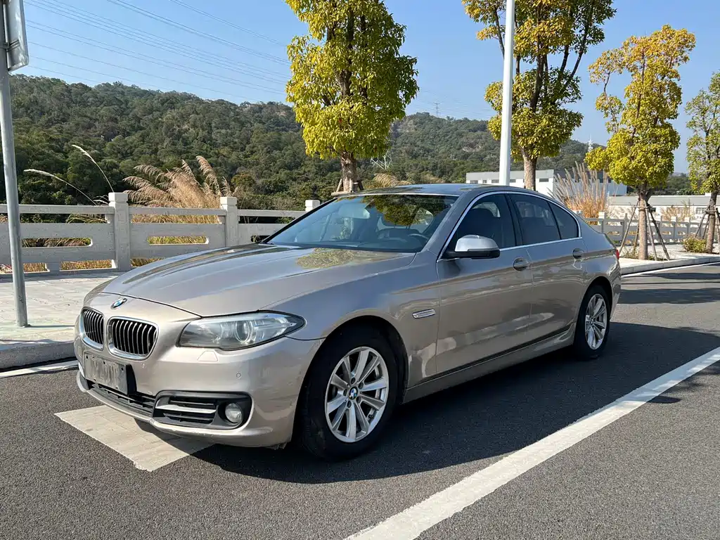 BMW 5 Series (Import) 2015