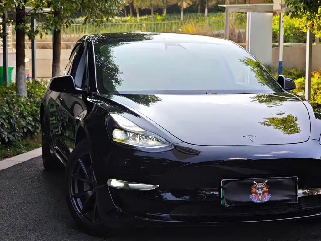Tesla Model 3 — миниатюра 9