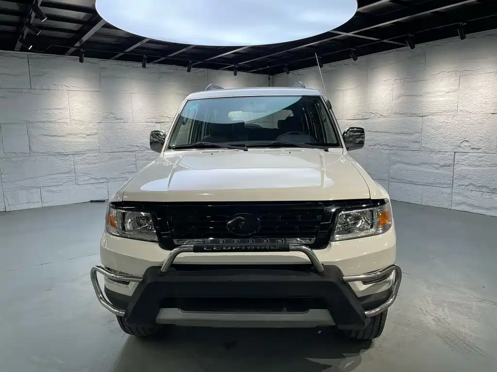 CHEETAH CARS CHEETAH Q6