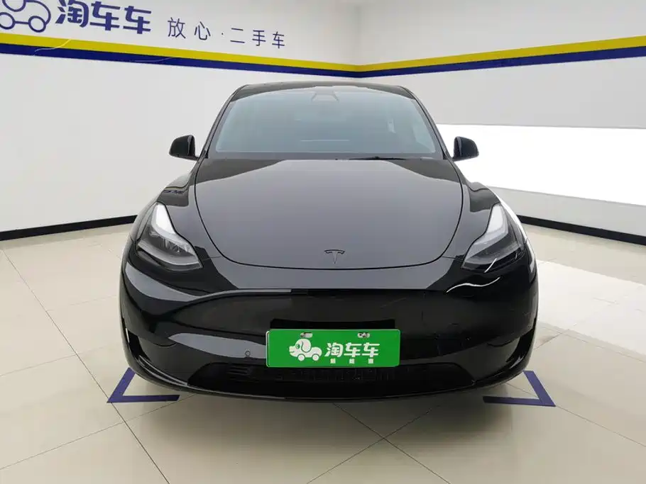 Tesla Model Y — миниатюра 2