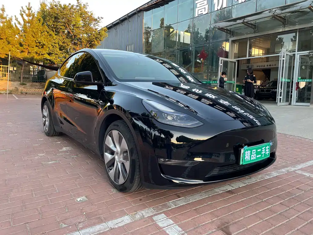 Tesla Model Y — миниатюра 3