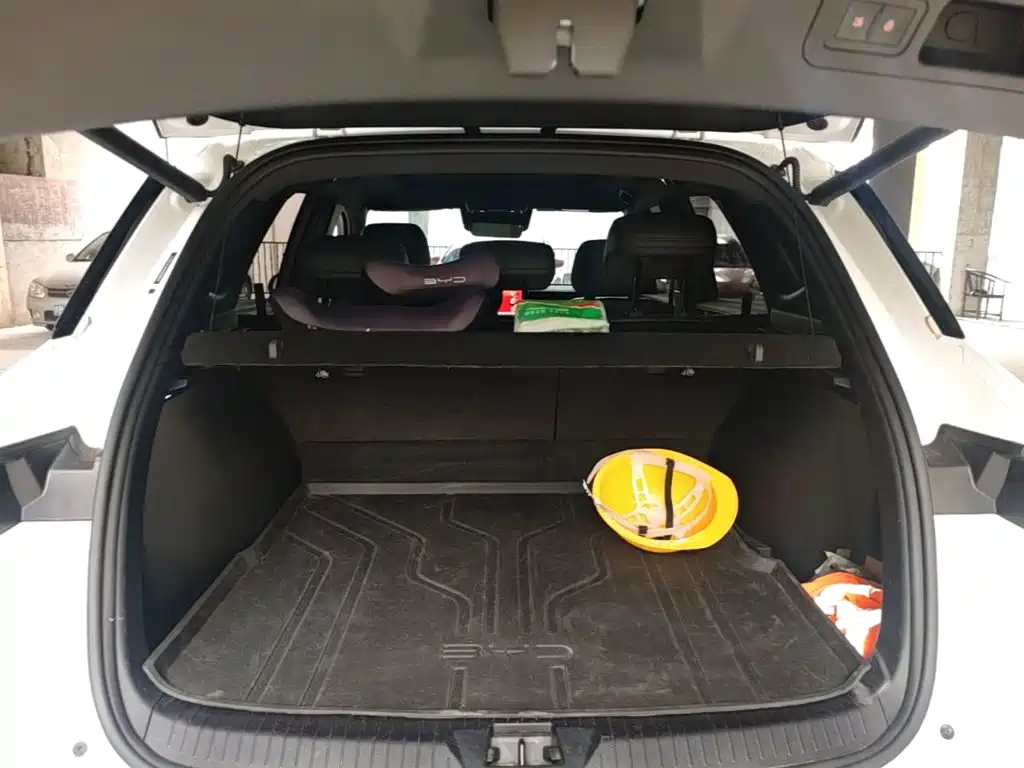 BYD Pro New Energy — миниатюра 19