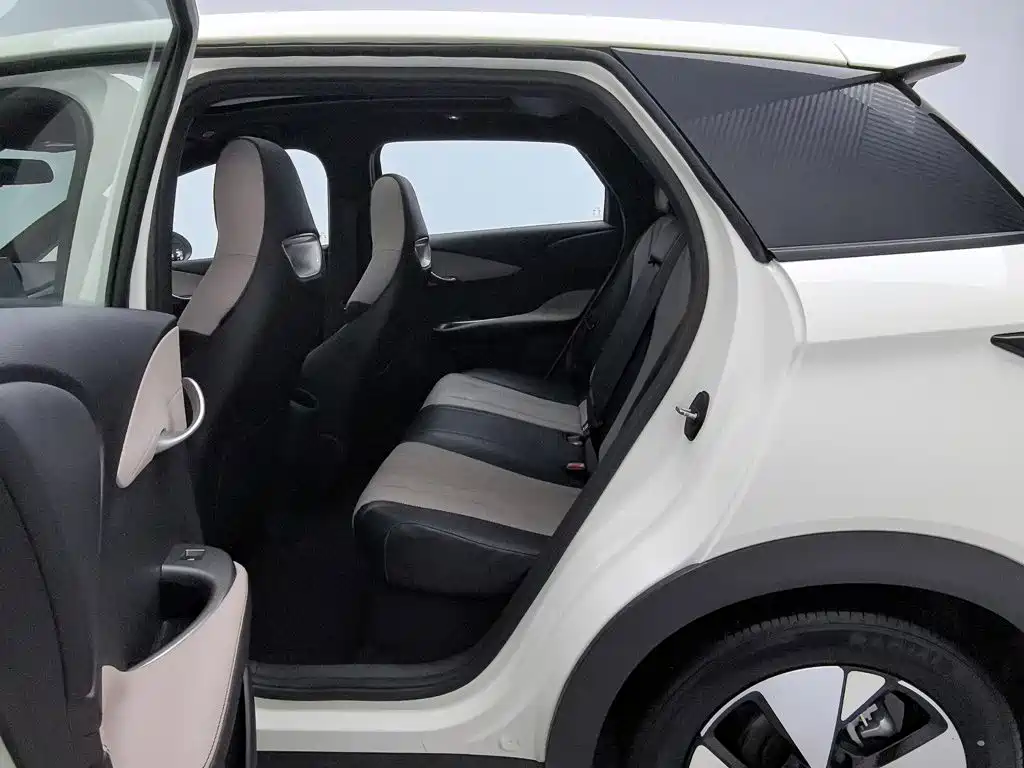 BYD Dolphin — миниатюра 15