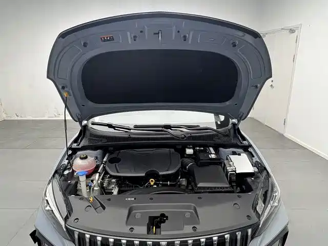 Geely Binrui — миниатюра 15