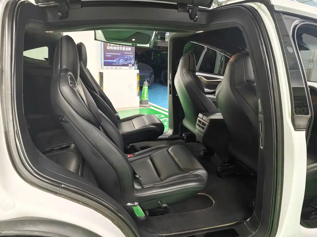 Tesla Model X — миниатюра 9