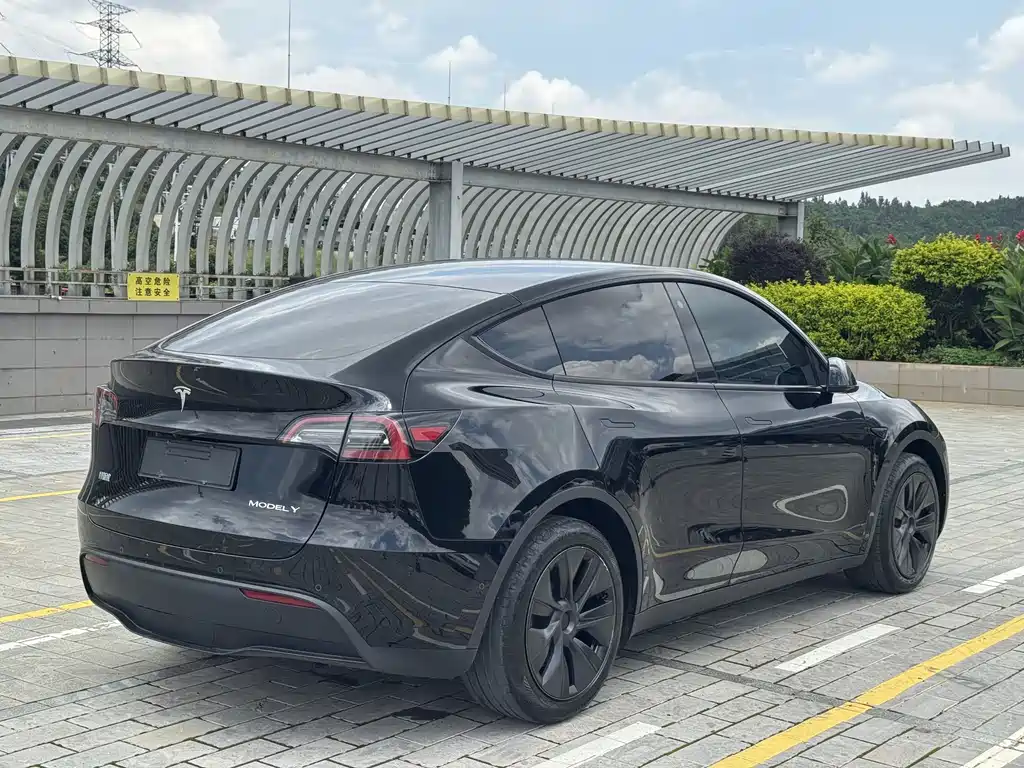 Tesla Model Y — миниатюра 10