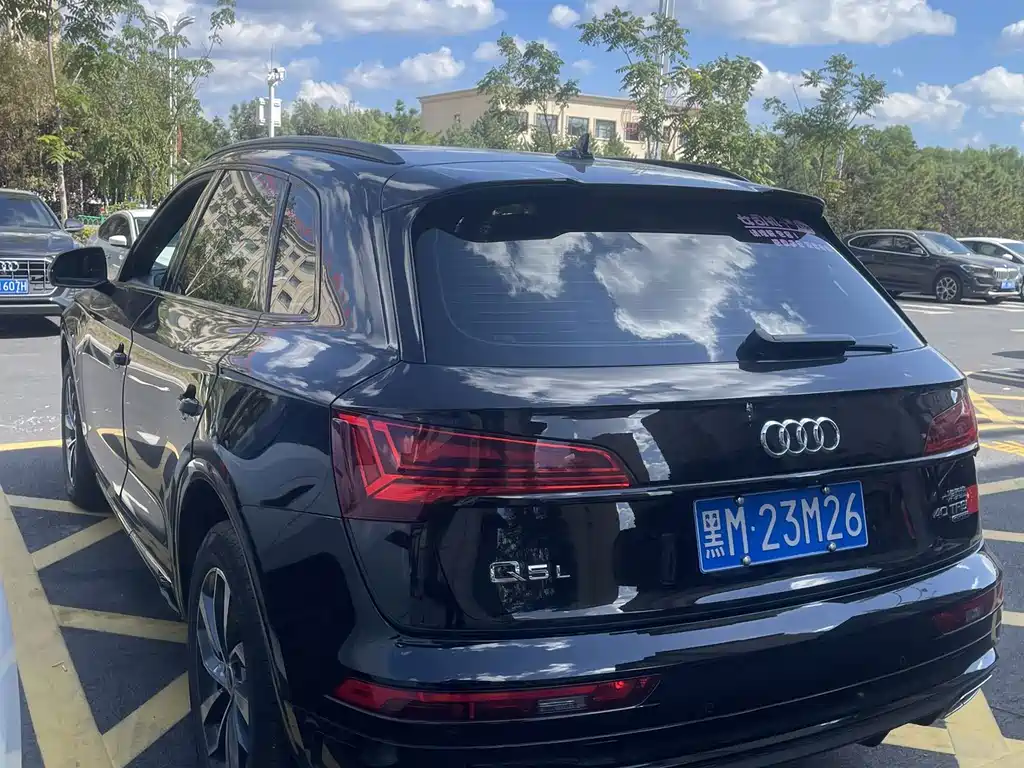 Audi Q5L — миниатюра 5