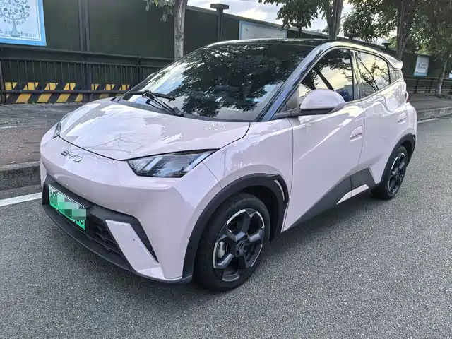 2024 BYD Seagull