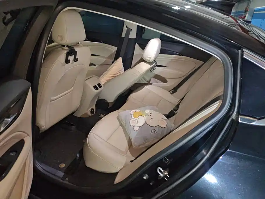 Buick Regal — миниатюра 11