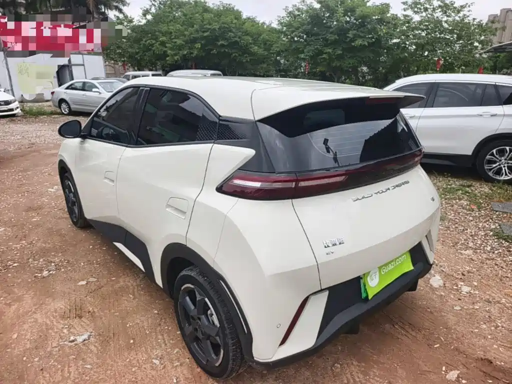 BYD Seagull 2023 Flying