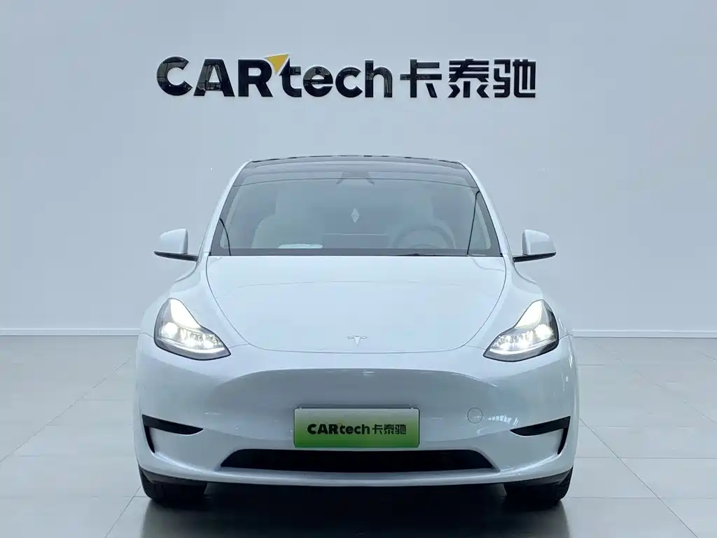 Tesla Model Y — миниатюра 2