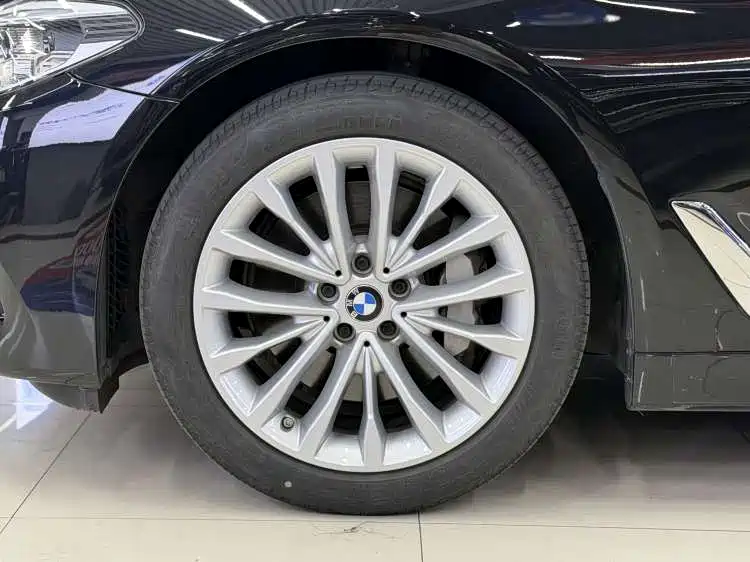 BMW 5 Series 5 2020 530Li Lead Luxury