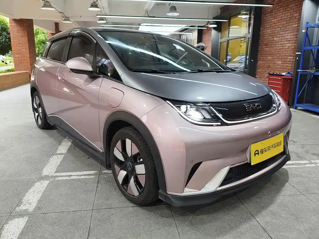 BYD Dolphin — миниатюра 6