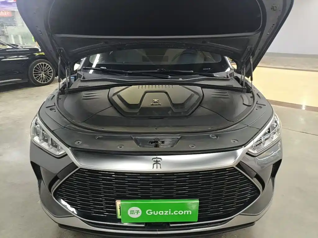 BYD PLUS New Energy — миниатюра 20