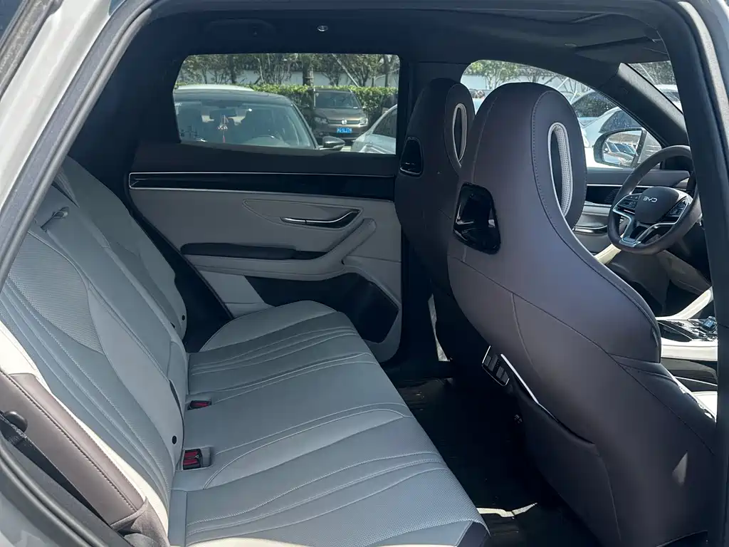 BYD SONGJIANG NEW ENERGY