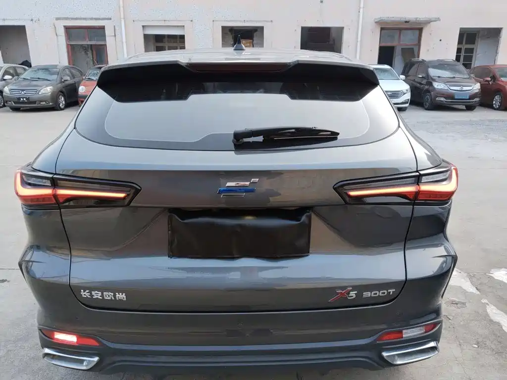 Oshan Oushang X5 — миниатюра 6