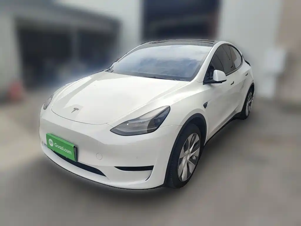Tesla Model Y — миниатюра 2