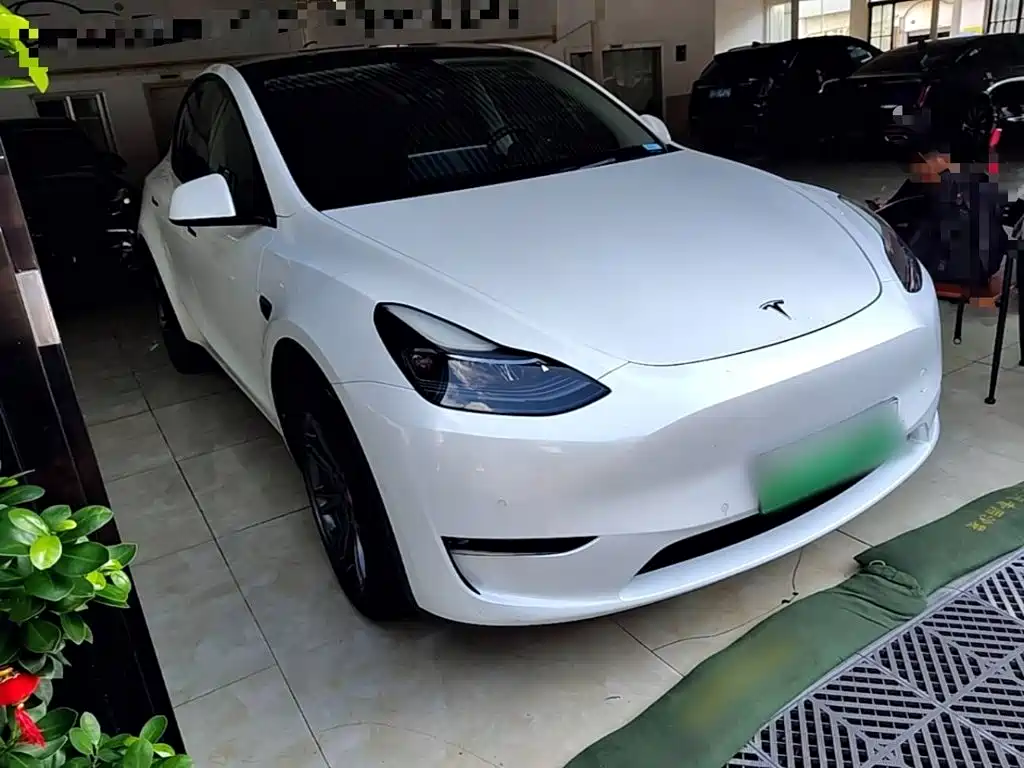 Tesla Model Y — миниатюра 4
