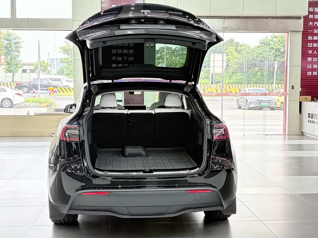 Tesla Model Y — миниатюра 9