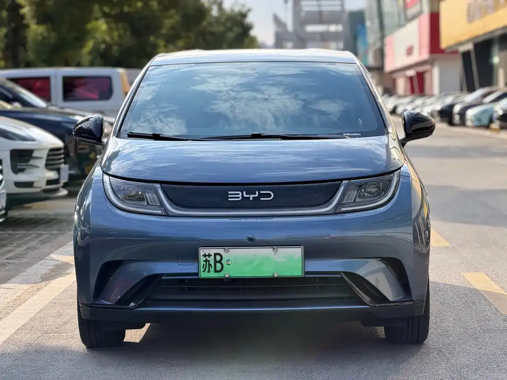 BYD Dolphin — миниатюра 2