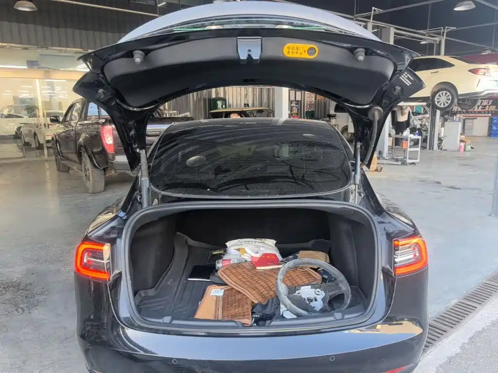 Tesla Model 3 — миниатюра 19