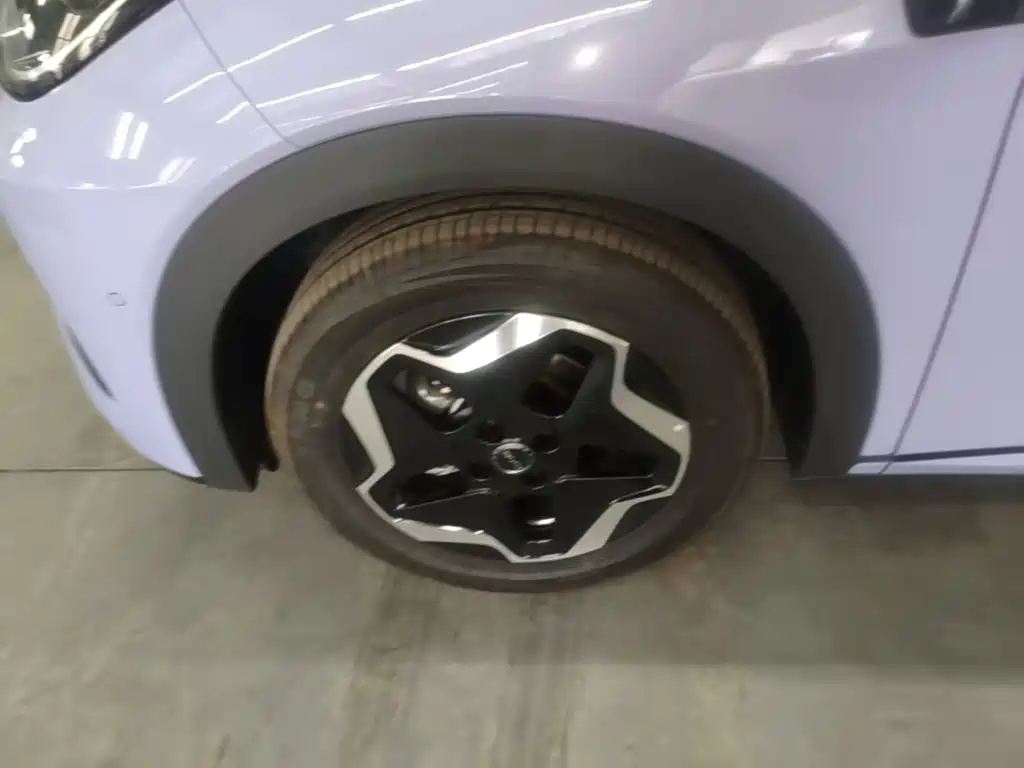 BYD Dolphin — миниатюра 23