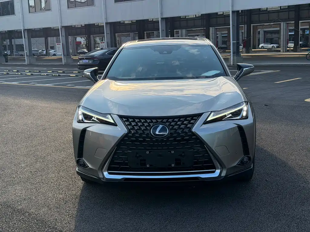Lexus UX New Energy — миниатюра 2